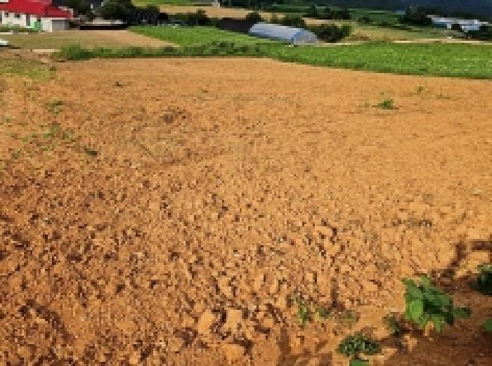 전라남도 해남군 마산면 학의리 산34-6 임야 경매 사진 6