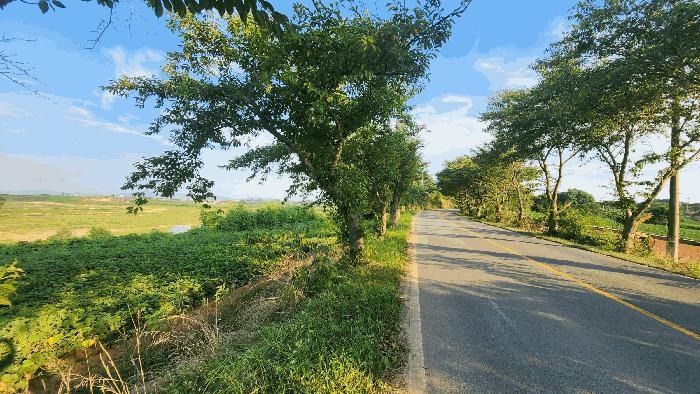 전라남도 해남군 산이면 상공리 산29-4 임야 경매 사진 4