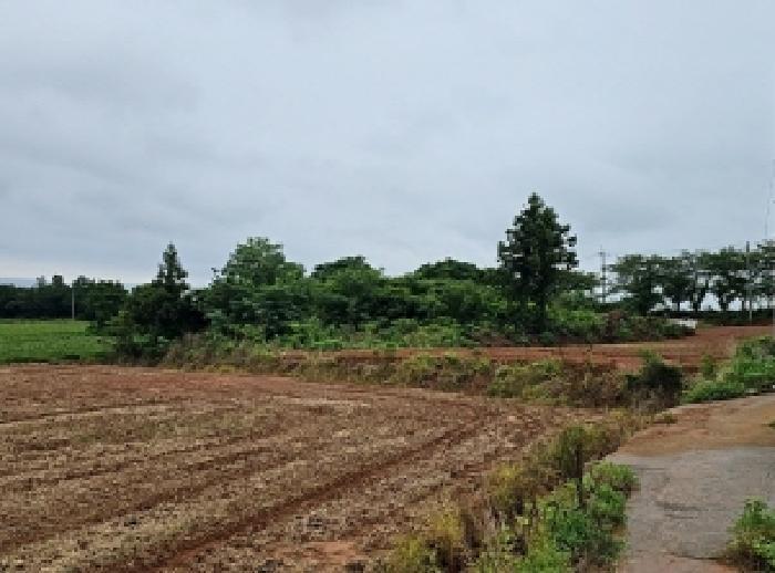 전라남도 해남군 산이면 상공리 산29-4 임야 경매 사진 8