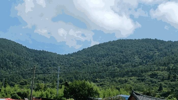 전라남도 완도군 청산면 동촌리 산91 임야 경매 사진 5