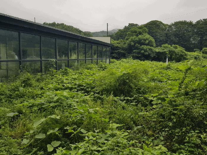전라남도 해남군 계곡면 당산리 769 창고 경매 사진 2
