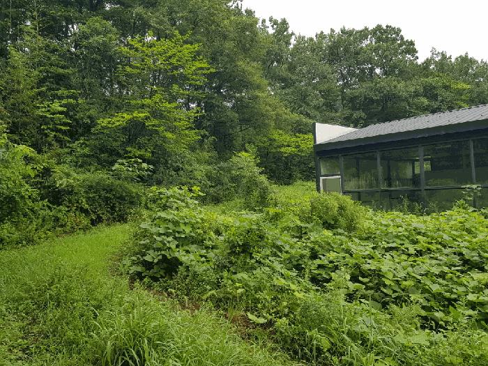 전라남도 해남군 계곡면 당산리 769-1 답 경매 사진 10