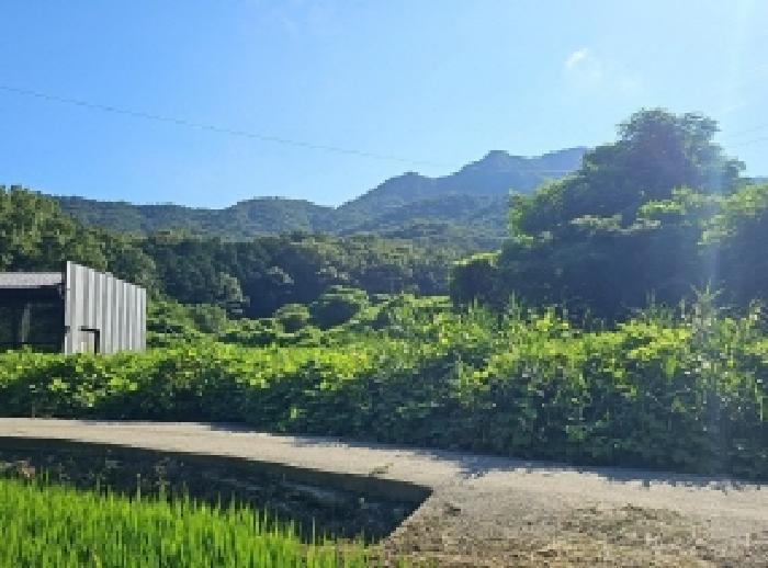 전라남도 해남군 계곡면 당산리 769-1 답 경매 사진 19