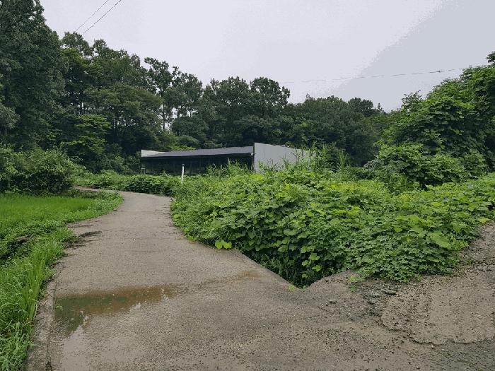전라남도 해남군 계곡면 당산리 769-1 답 경매 사진 8