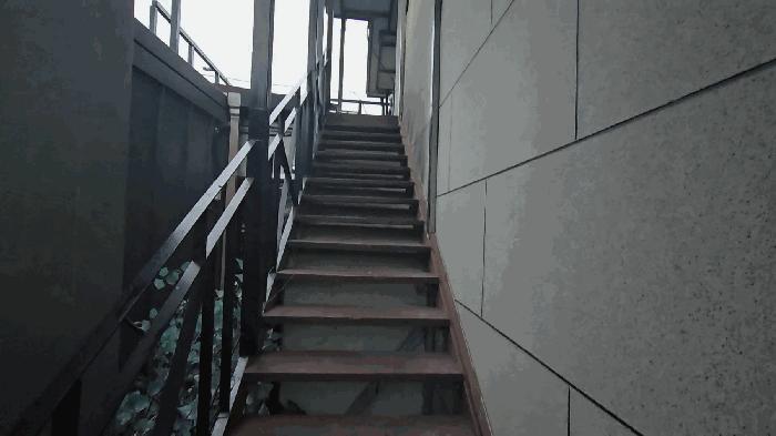 충청북도 단양군 대강면 두음리 590-39 근린주택 경매 사진 6