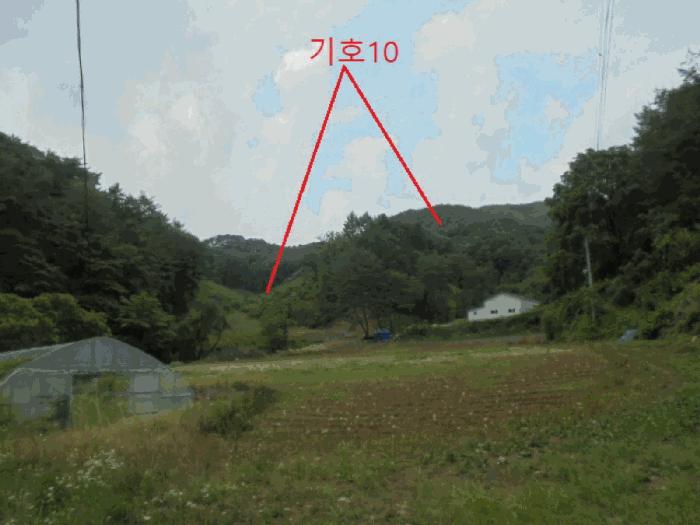 충청북도 제천시 봉양읍 학산리 산51 임야 경매 사진 13