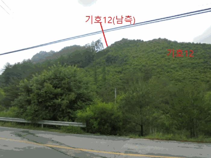 충청북도 제천시 봉양읍 학산리 산51 임야 경매 사진 16