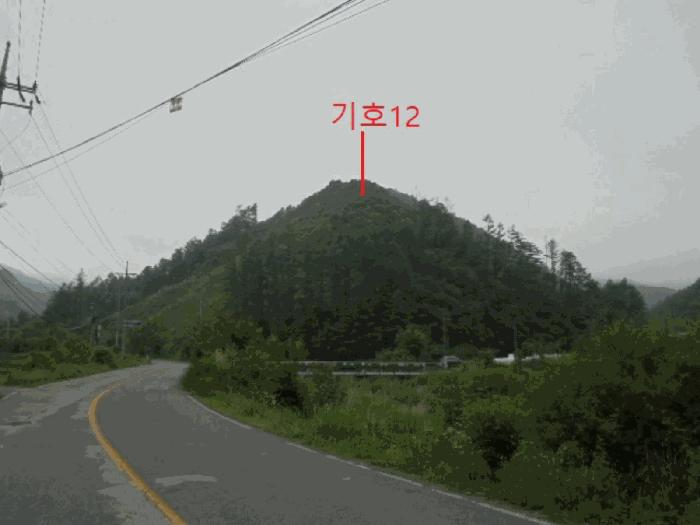 충청북도 제천시 봉양읍 학산리 산51 임야 경매 사진 18