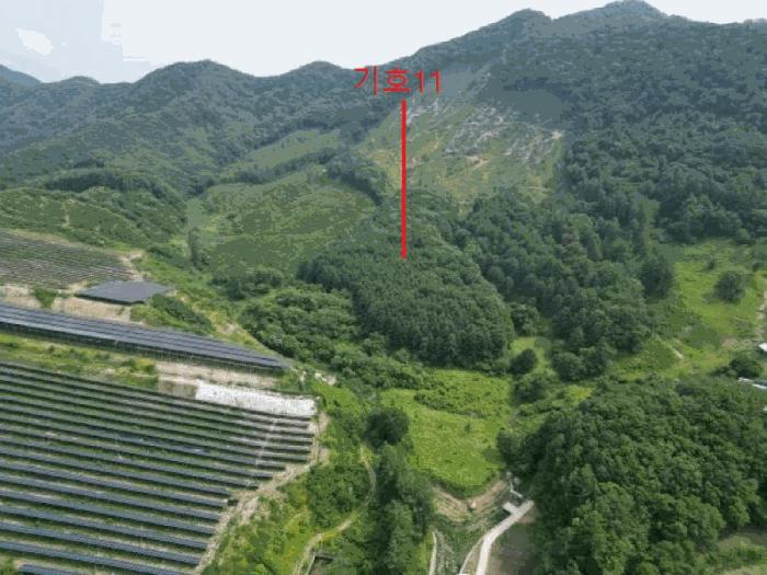 충청북도 제천시 봉양읍 학산리 산51 임야 경매 사진 3