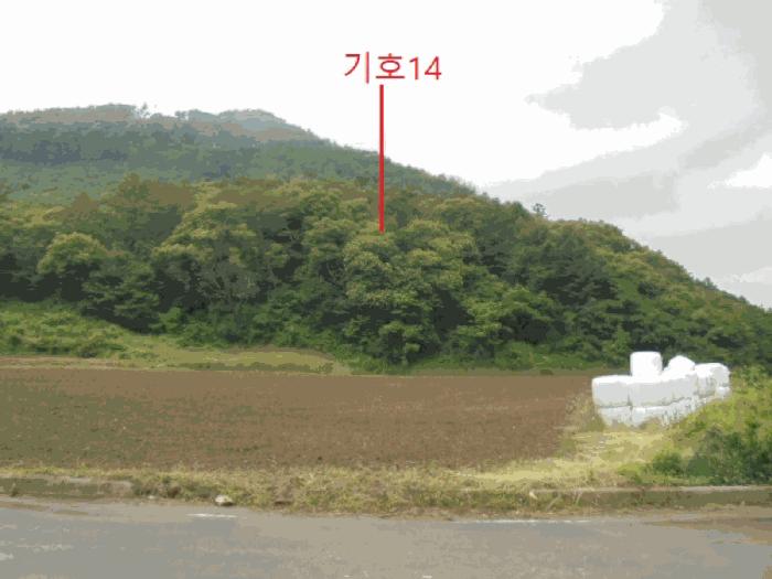 충청북도 제천시 봉양읍 학산리 산51 임야 경매 사진 5