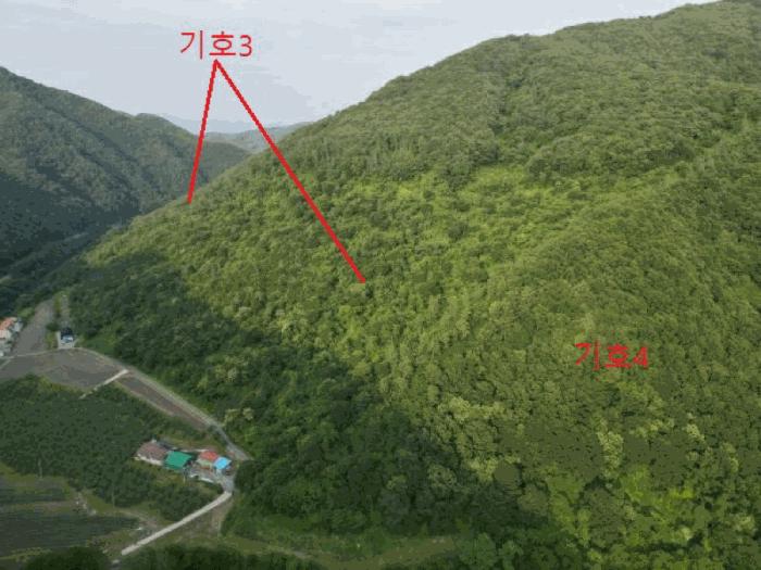 충청북도 제천시 봉양읍 학산리 산51 임야 경매 사진 9