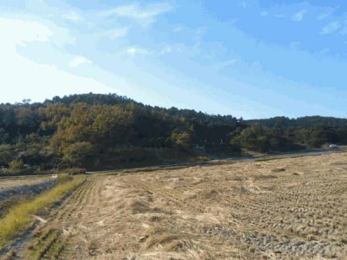 전라남도 해남군 송지면 학가리 산36-7 임야 경매 사진 1