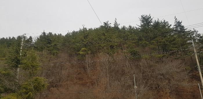경상남도 사천시 축동면 구호리 363 전 경매 사진 3