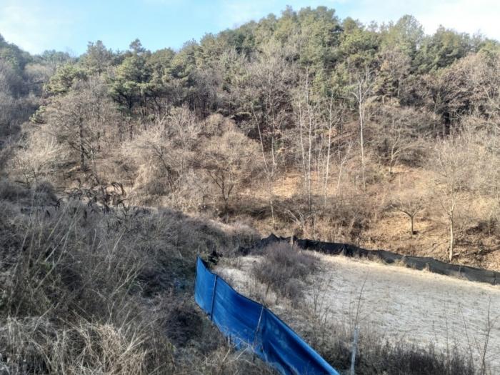 충청남도 금산군 제원면 수당리 355-2 전 경매 사진 4