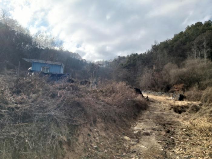 충청남도 금산군 제원면 수당리 355-2 전 경매 사진 8