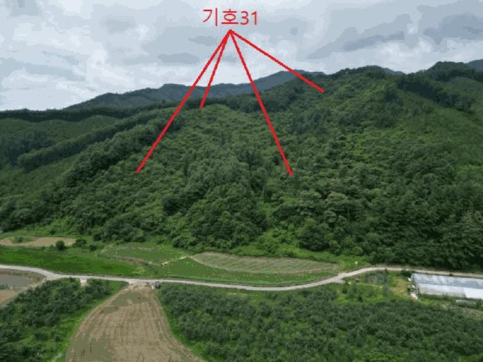 충청북도 제천시 자작동 65 전 경매 사진 13