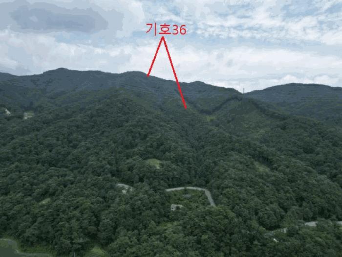 충청북도 제천시 자작동 65 전 경매 사진 16