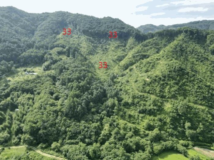충청북도 제천시 자작동 65 전 경매 사진 9