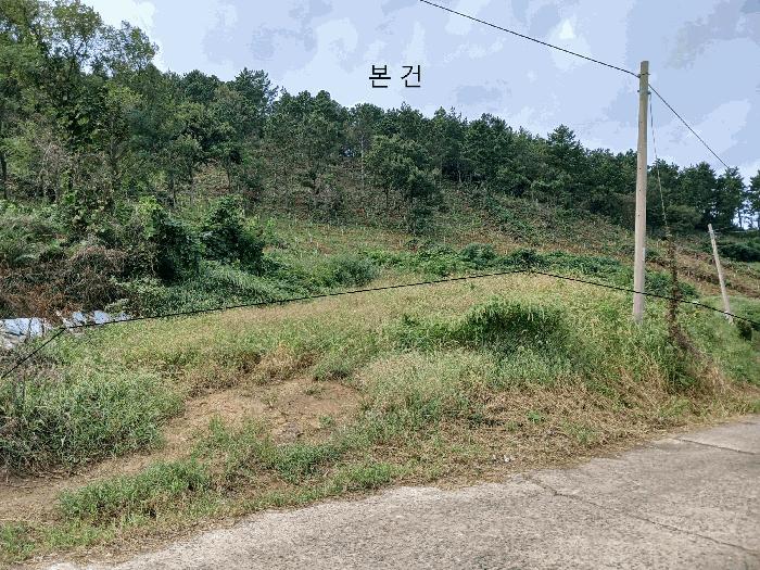 전라남도 무안군 해제면 대사리 산31 임야 경매 사진 2