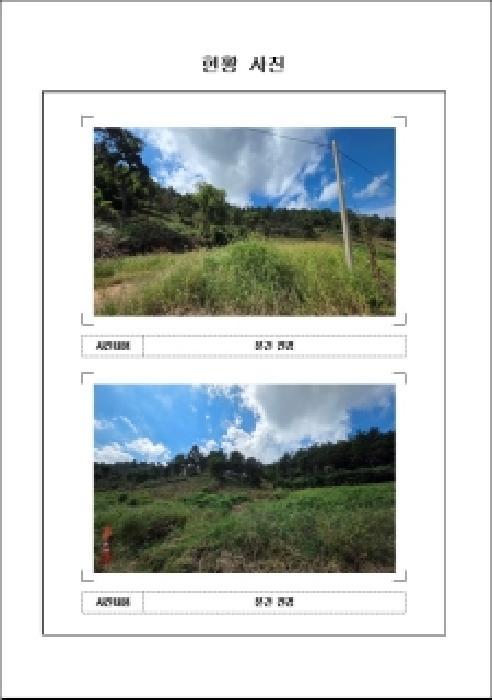 전라남도 무안군 해제면 대사리 산31 임야 경매 사진 5