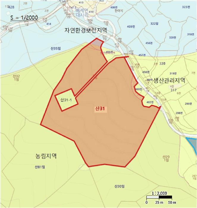 전라남도 무안군 해제면 대사리 산31 임야 경매 사진 7