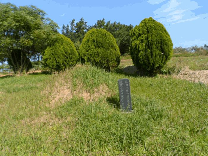 전라남도 무안군 청계면 복룡리 148-4 임야 경매 사진 3