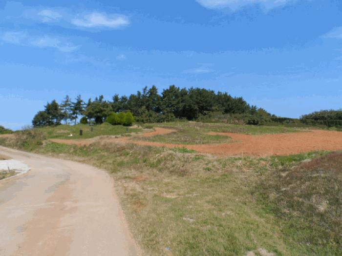 전라남도 무안군 청계면 복룡리 148-4 임야 경매 사진 5