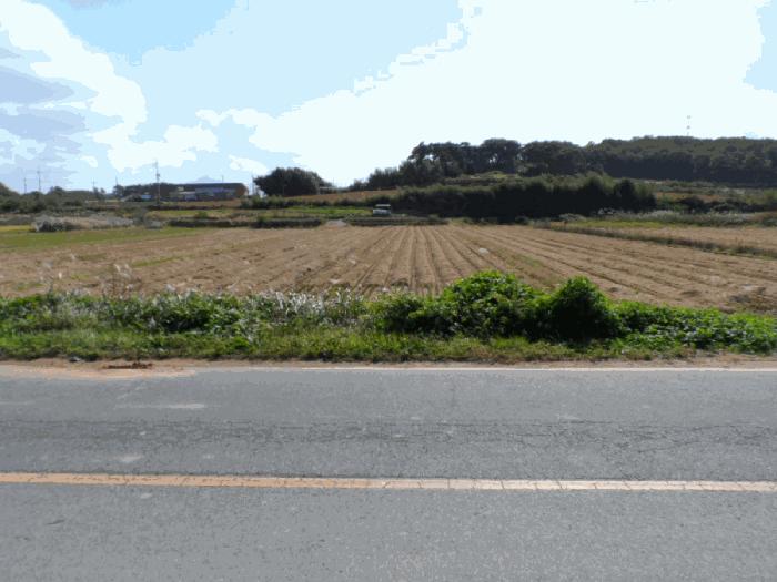 전라남도 영암군 답