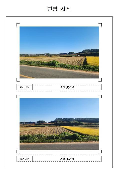전라남도 영암군 시종면 월송리 515-7 답 경매 사진 5