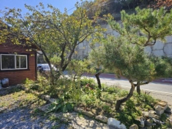 충청북도 단양군 적성면 소야리 29-7 주택 경매 사진 9