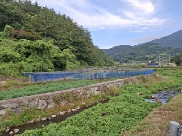 경상남도 남해군 남해읍 평리 740 전 경매 사진 3