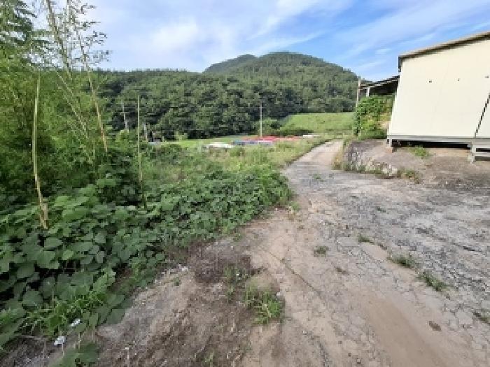경상남도 남해군 남해읍 평리 740 전 경매 사진 7