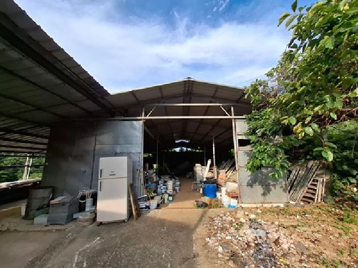 경상남도 남해군 남해읍 평리 740 전 경매 사진 9