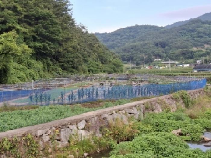 경상남도 남해군 남해읍 평리 800-1 답 경매 사진 2