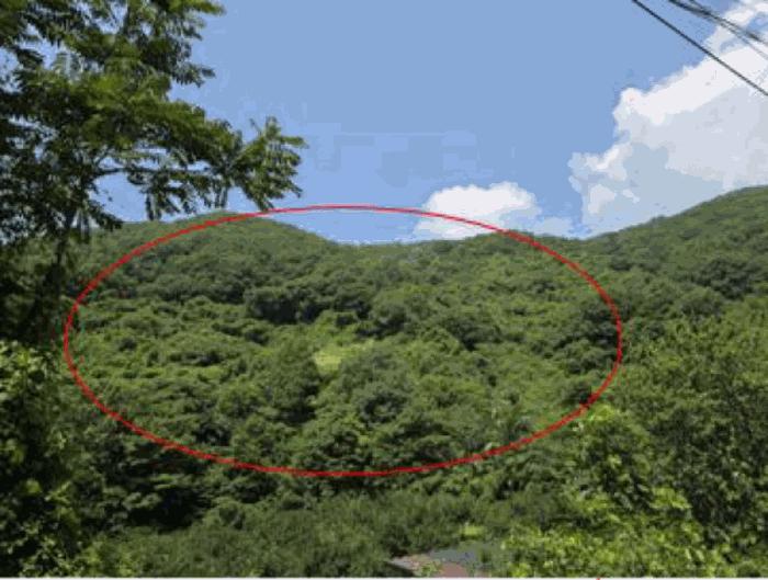 경상남도 산청군 단성면 백운리 477 임야 경매 사진 1
