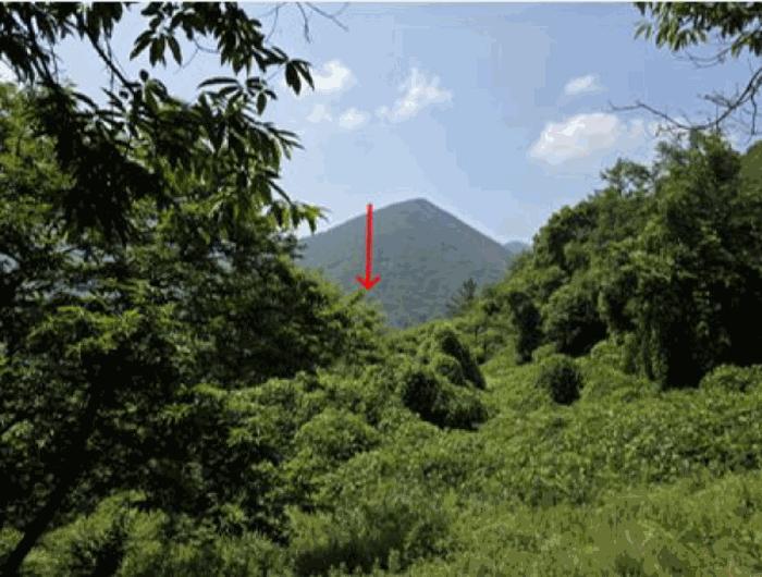 경상남도 산청군 단성면 백운리 477 임야 경매 사진 13