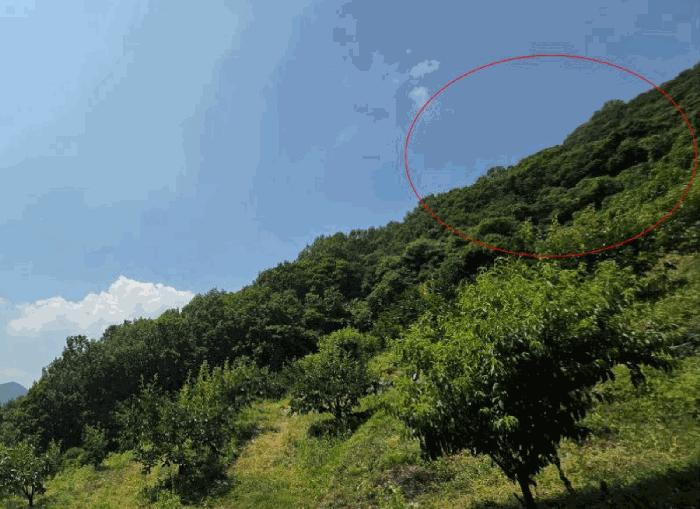 경상남도 산청군 단성면 백운리 산265 임야 경매 사진 11