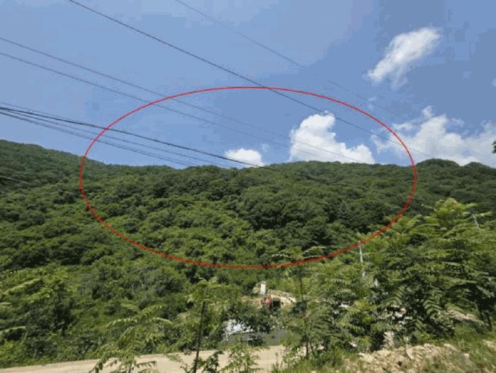 경상남도 산청군 단성면 백운리 산265 임야 경매 사진 7