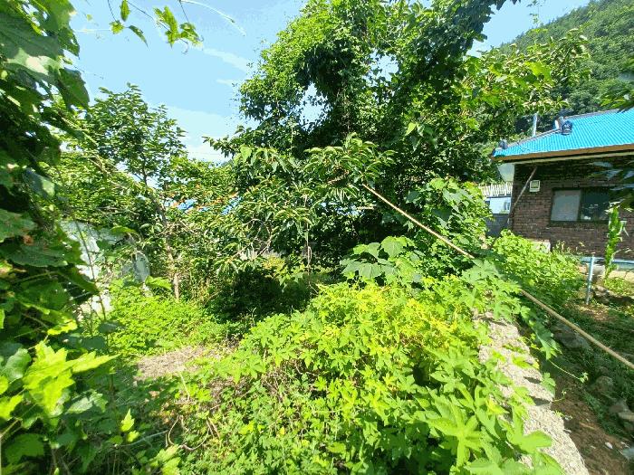 경상남도 남해군 남면 상가리 748-1 주택 경매 사진 1