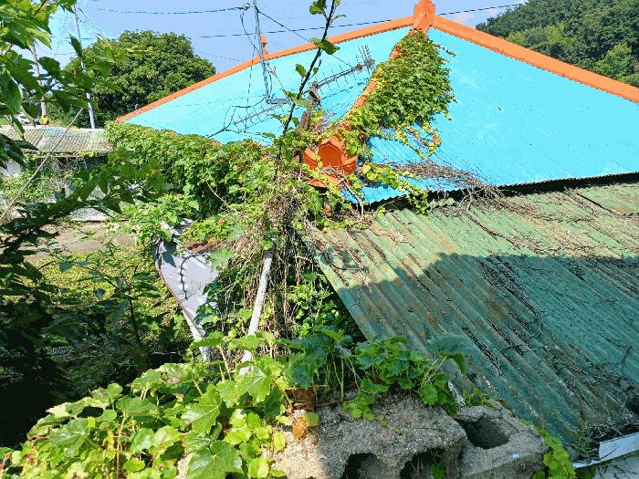 경상남도 남해군 남면 상가리 748-1 주택 경매 사진 5