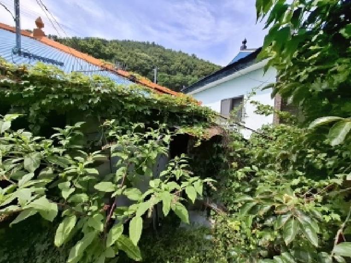 경상남도 남해군 남면 상가리 748-1 주택 경매 사진 9