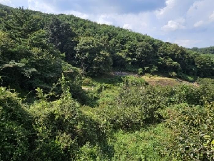 경상남도 진주시 내동면 독산리 986 답 경매 사진 11