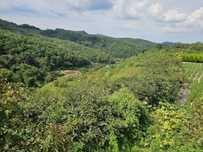 경상남도 진주시 내동면 독산리 986 답 경매 사진 12