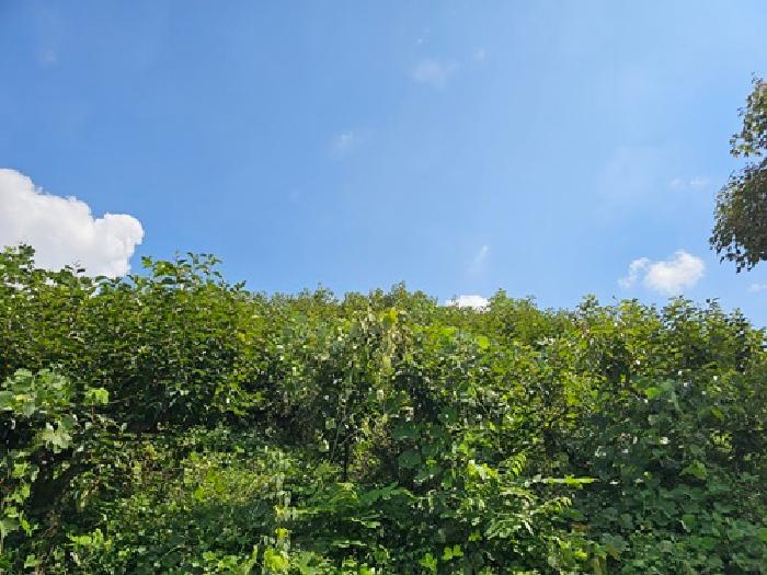 경상남도 진주시 내동면 독산리 986 답 경매 사진 14