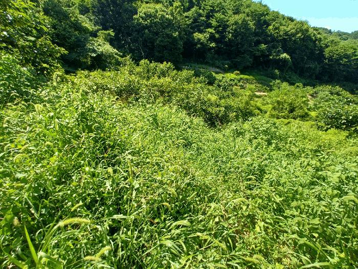 경상남도 진주시 내동면 독산리 986 답 경매 사진 5