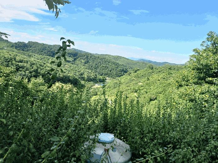 경상남도 진주시 내동면 독산리 986 답 경매 사진 8