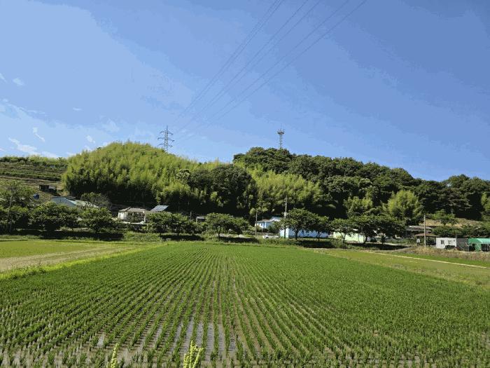 경상남도 진주시 정촌면 소곡리 562-3 창고 경매 사진 19