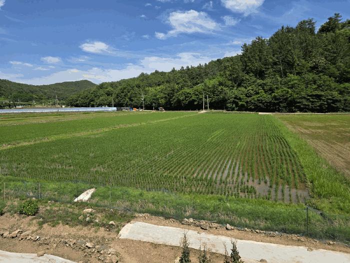 경상남도 진주시 정촌면 소곡리 562-3 창고 경매 사진 7