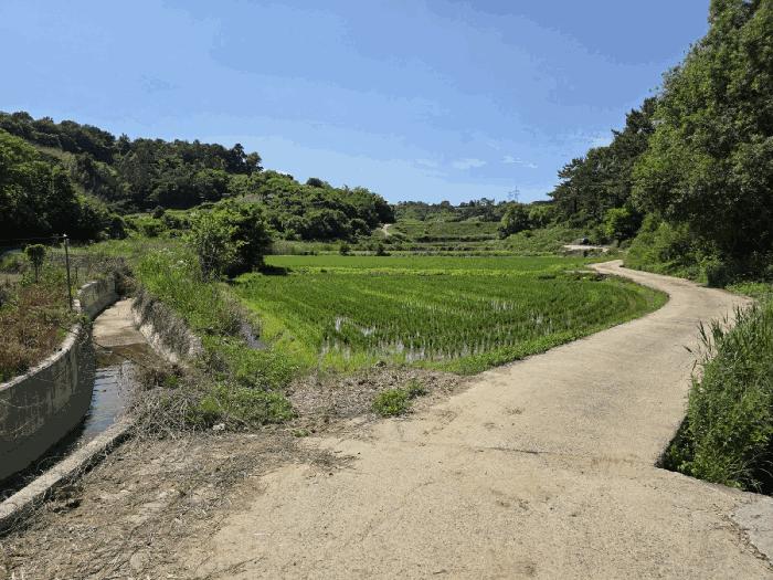 경상남도 진주시 정촌면 소곡리 563-1 주택 경매 사진 4