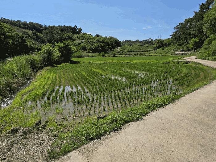 경상남도 진주시 정촌면 소곡리 563-1 주택 경매 사진 9